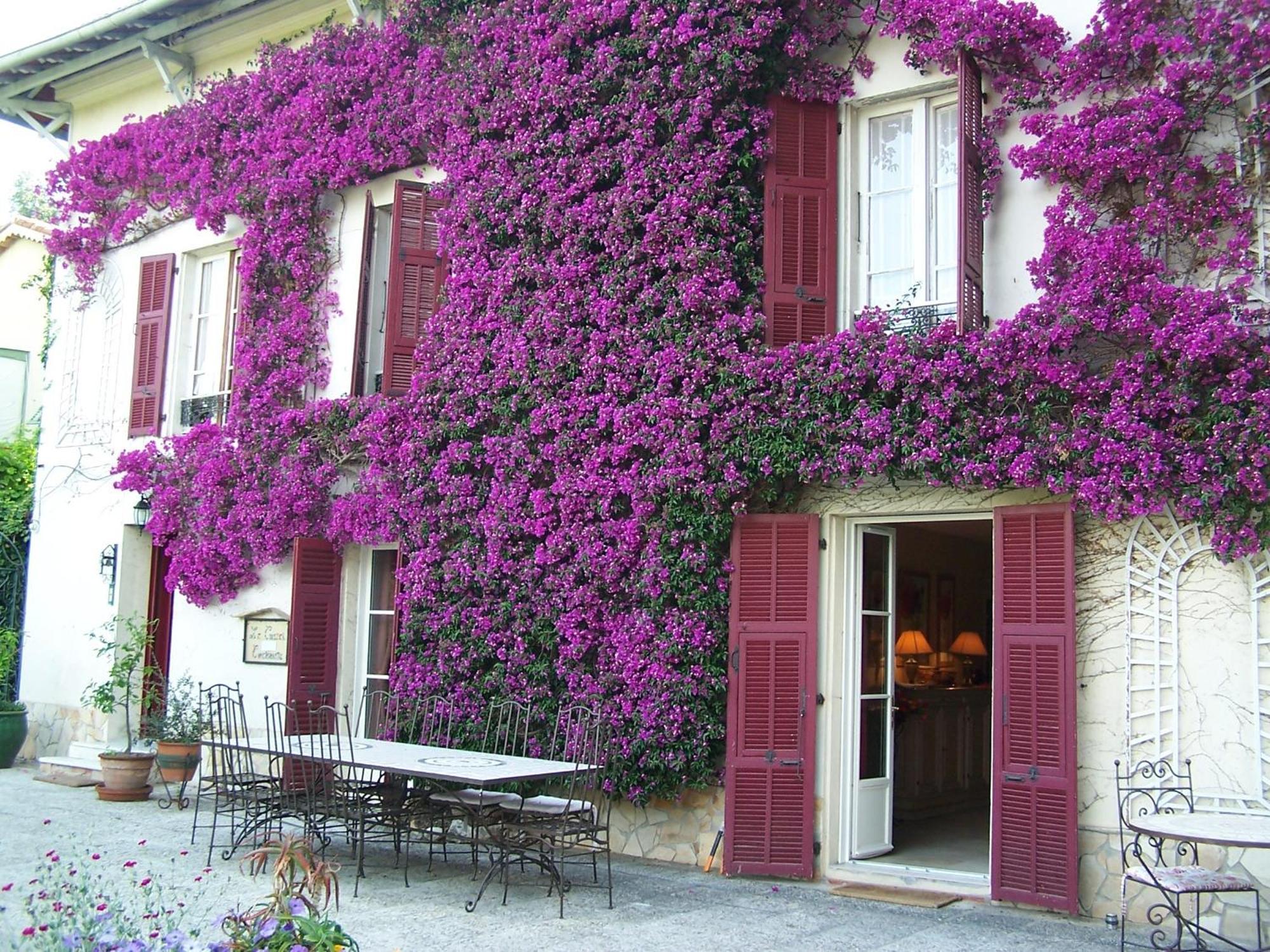 Castel Enchante Nice Exterior foto